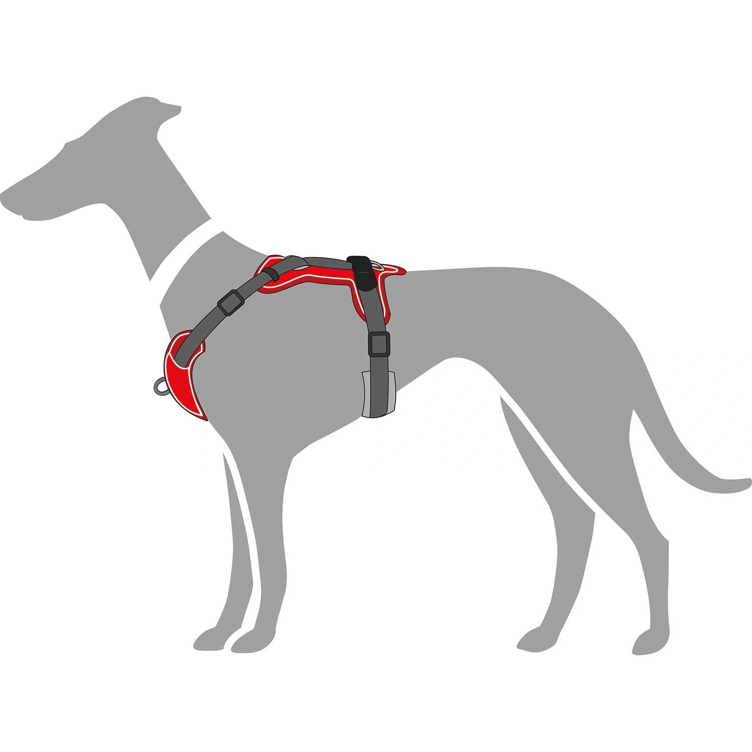 Hunter Divo hundesele M rød/grå just mave 56-73 cm - Stabil pasform og aktiv komfort